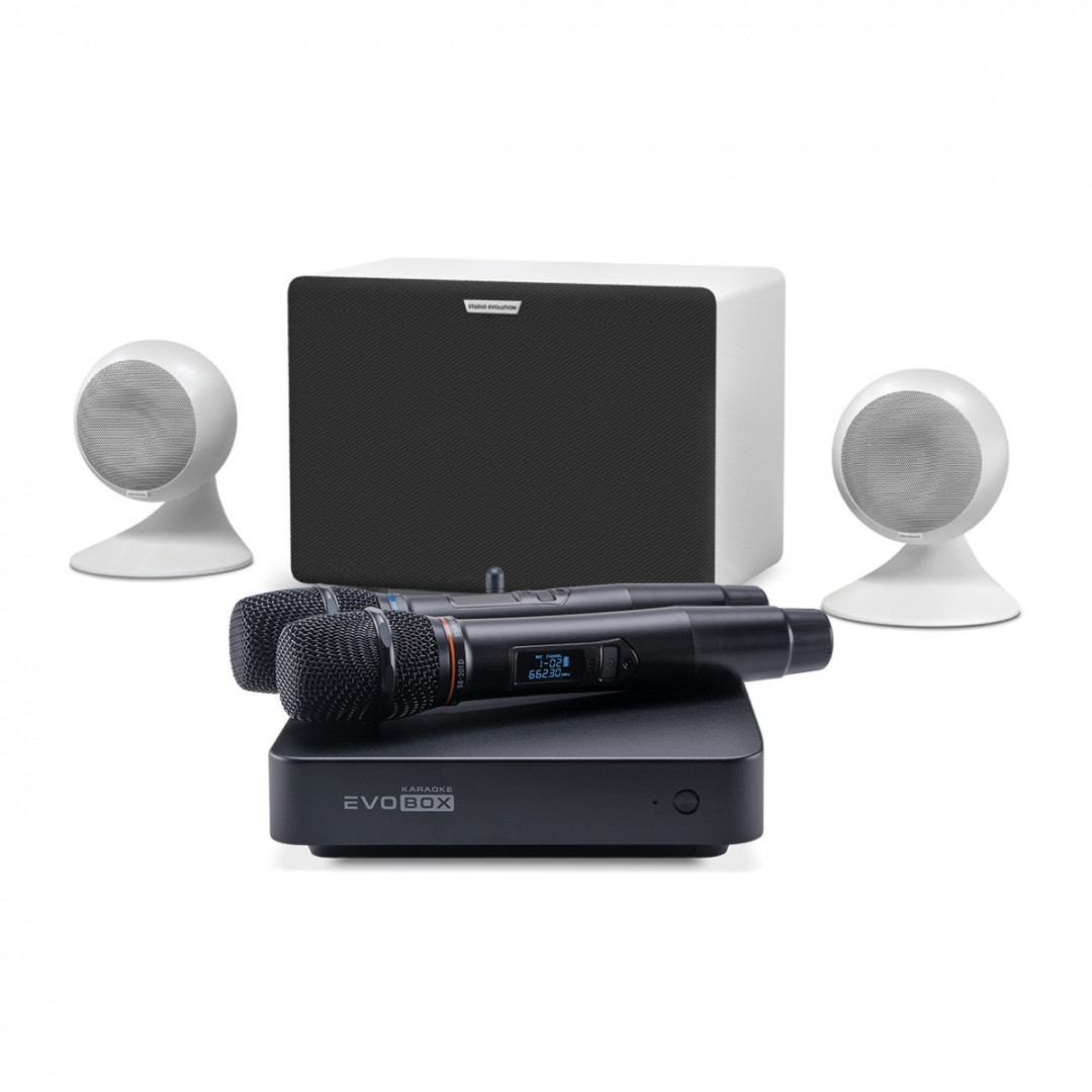 караоке-комплект EVOBOX Classic + EvoSound Sphere 2.1 в Копейске