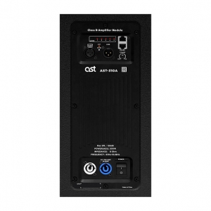 Активная акустическая система AST-310A в Копейске