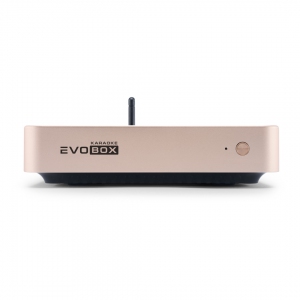 EVOBOX Plus караоке-система для дома в Копейске