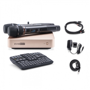 EVOBOX Plus караоке-система для дома в Копейске