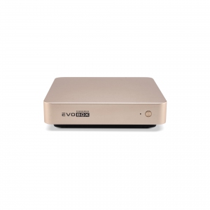 EVOBOX с микрофонами в Копейске